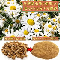 菊精渦巻 天然除虫菊蚊取線香 動物ペット用 50巻箱入 ライオンケミカル 犬 猫
