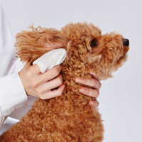 ペティオ 犬猫用 顔まわり用 シートでふきとる シャンプーティッシュ（30枚入×2個）お得パック 1個 犬 猫