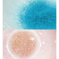 服部天龍 萩焼　ガラス釉　ペア珈琲カップ＆ソーサー 23-0223-052 1箱（直送品）