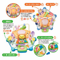 ローヤル たのしく知育!やみつきボックス+ 23-0297-081 1箱（直送品）