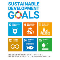 服部 2段伸縮エコスタイリッシュのぼりポール3M オールブラック tbpol002eco-5 1セット(10本)