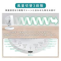 QUADS クリーン3Dサーキュレーター PURE AIR QS301WH 1台（直送品）