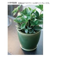 コントン　ヤマテー アステア　トール　４号　ライトグレー　受け皿付き 282174 1個（直送品）