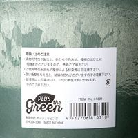 ポッシュリビング アーバンプランツポット ソリッド ケール 4号鉢 282813 1個（直送品）