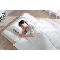 アイリスオーヤマ 洗える枕 まくら 40×60cm 清潔 仮眠室 寝具 介護 家庭用洗濯機で洗える ウォッシャブルまくら ホワイト 1個