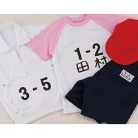 パイオニア シールゼッケン 1枚入 15×21cm　シールタイプ G600-00015　5袋1セット