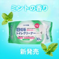 iiもの本舗 流せるトイレクリーナー ミントの香り 4589596693774 1袋(30枚)