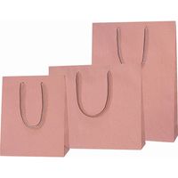 シモジマ プレーンCB 20ー12 アズキ 005360302 1束(10枚)