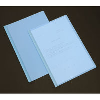 テージー カラーバーファイルカバー　スカイ CBC-13 スカイ 1枚