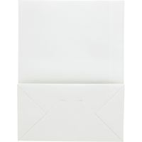 シモジマ 紙製保冷角底袋 M 白 004023200 1袋(25枚)