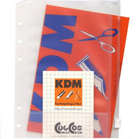 レイメイ藤井 ダヴィンチ リフィル 聖書 ファスナーポケット 引手付 DR313 1個