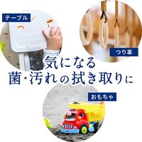 ウェットティッシュ　除菌シート　キレイキレイ 99.99%除菌ウェットシート アルコール　1個（30枚入）