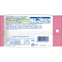 ウェットティッシュ　除菌シート　キレイキレイ除菌ウェットシート ノンアルコールタイプ　1箱（10枚入×48個）