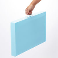 レイメイ藤井 作品ファイル ライトブルー RS1089H 1個