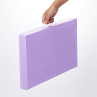 レイメイ藤井 作品ファイル バイオレット RS1089V 1個