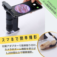 レイメイ藤井 ハンディ顕微鏡 DX グリーン RXT1144M 1個