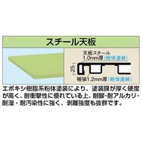 サカエ 軽量作業台(KKタイプ/均等耐荷重200kg/スチール天板/H840mm/移動式) KKー49SUB2 1台（直送品）