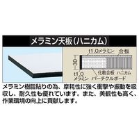 サカエ 軽量実験用高さ調整作業台(TKSMタイプ/均等耐荷重200kg/メラミン天板/H740~940/固定式) TKSMー1275 1台（直送品）