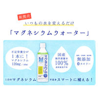 マグネシウムウォーター 500ml 1箱（24本入）