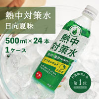 熱中対策水日向夏味 500ml 1セット（48本）