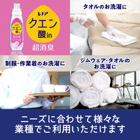 レノア クエン酸in 超消臭 クリアフローラル 詰め替え 超特大 1080mL 1個 すすぎ消臭剤 P＆G
