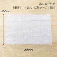 ティー・エイチ・ティー 楽々流せる重曹トイレクリーナー24枚2P 510433 1セット(20個)