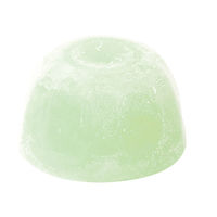 わんわん 犬用 シャーベット ゼリー 脂肪分ゼロ 砂糖不使用 水分補給 国産 24個（8個入×3袋）ドッグフード おやつ