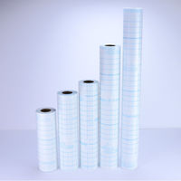 Neschen 光沢保護フィルム フィルムルックス 609 50cm幅×25m巻 50cm判 FLS-409 1巻