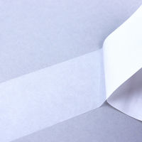 Neschen 透明紙テープ フィルム プラスト P 40mm幅×50m巻 白 FPP-425 1個