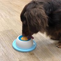 わんこのぺろぺろ味覚玉 1個 ドギーマンハヤシ