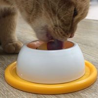 にゃんこのぺろぺろ味覚玉 1個 ドギーマンハヤシ