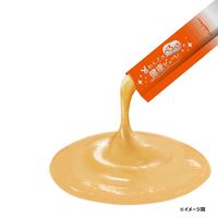 わんこの健康ピューレ お腹ケア 国産（10g×5本）1袋 犬用 おやつ ドギーマンハヤシ