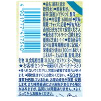 サントリー 伊右衛門 冷茶仕立て 600ml 1箱（24本入）