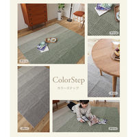 スミノエ 洗えるグラデーションラグ カラーステップ 1300×1800mm グリーン 4549781303093 1枚（直送品）