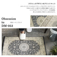 ERARE DICTUM マイクロプリントパイルマット 700×1200mm アイボリー 4573109309610 1枚（直送品）