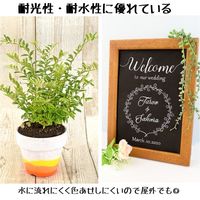 サクラクレパス 水性顔料マーカー ピグマックスツイン フック 白 ZPKT-P#50 1本