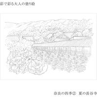 あかしや 彩で彩る大人の塗り絵 奈良の四季 4枚セット AO-50NB 1パック