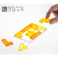テンヨー 脳ブロック 永久に遊べるパズル テトロミノ レベル1 TBB-01 5個