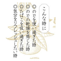 龍角散　龍角散ののどにすっきり飴120Max袋　88g　6袋