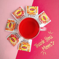 【ノンカフェイン】 リプトン ヘルシースタイル カモミール・オレンジ ティーバッグ 5箱（10バッグ入×5）