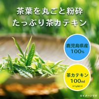【水出し可】伊藤園 有機粉末茶 丸ごと茶カテキン 5袋（40g）