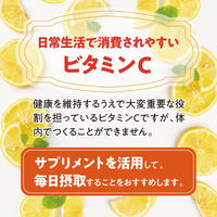 ビタミンC 約60日分(180粒入り)【小林製薬の栄養補助食品】　1セット（1袋×5）　サプリメント