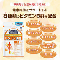 ビタミンB群  約60日分(120粒入り)【小林製薬の栄養補助食品】　1セット（1袋×5）　サプリメント