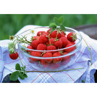 ST. DALFOUR サン・ダルフォー オールフルーツスプレッド ストロベリー 5個