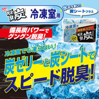 脱臭炭 冷蔵庫 冷凍室用 脱臭剤 置き型 冷凍庫のイヤな臭いにも効く 1セット（1個×5）エステー