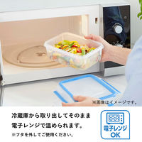 T-fal（ティファール） 保存容器 550ml レクタングル マスターシール N10142 1個