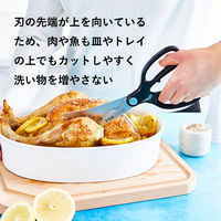 T-fal（ティファール） キッチンバサミ カーブ アイスフォース K18107 1個