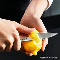 T-fal（ティファール） ペティ ナイフ 12cm シルバー プレシジョン K27709 1セット（3個）