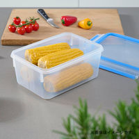 T-fal（ティファール） 保存容器 2.2L レクタングル マスターシール N10145 1セット（3個）