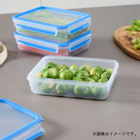 T-fal（ティファール） 保存容器 1.0L レクタングル マスターシール N10144 1セット（3個）